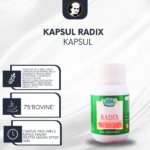 Kapsul Radix